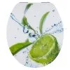 Diaqua WC-Sitz Lime -Bad + Sanitär affär 1021967 22024864 696x696 1